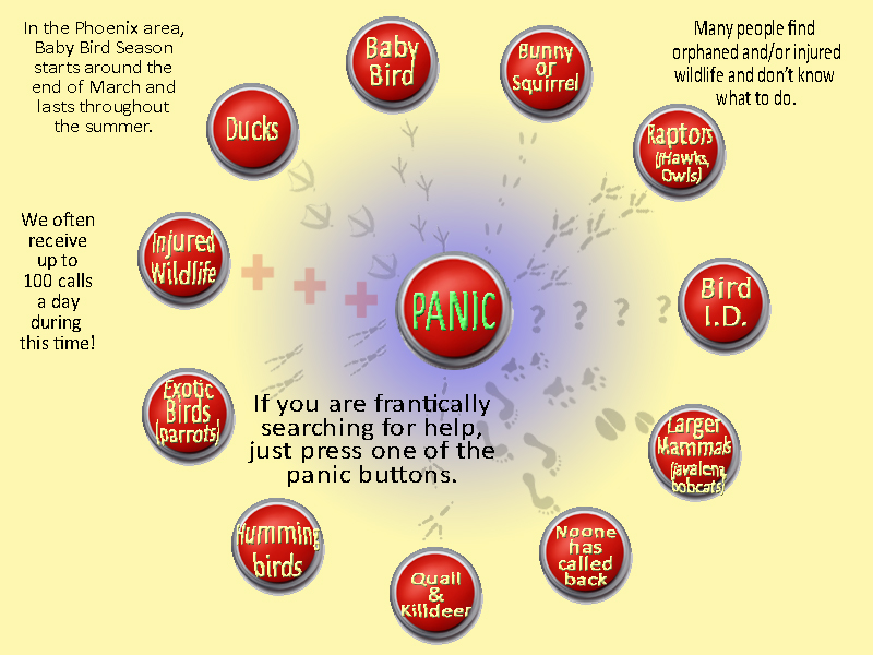 Don't Panic