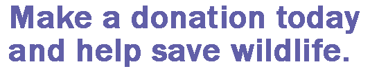 donation