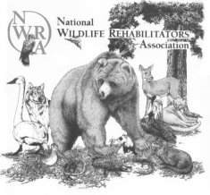 National Wildlife Rehabilitator's Association