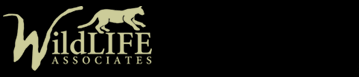 Wildlife Associates